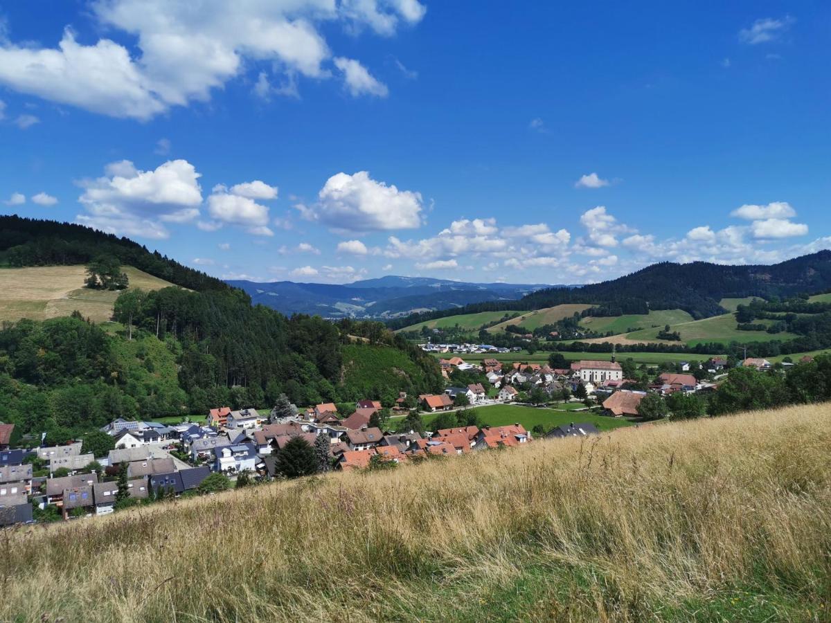 Goldener Adler Oberried - Hotel & Appartements Екстериор снимка